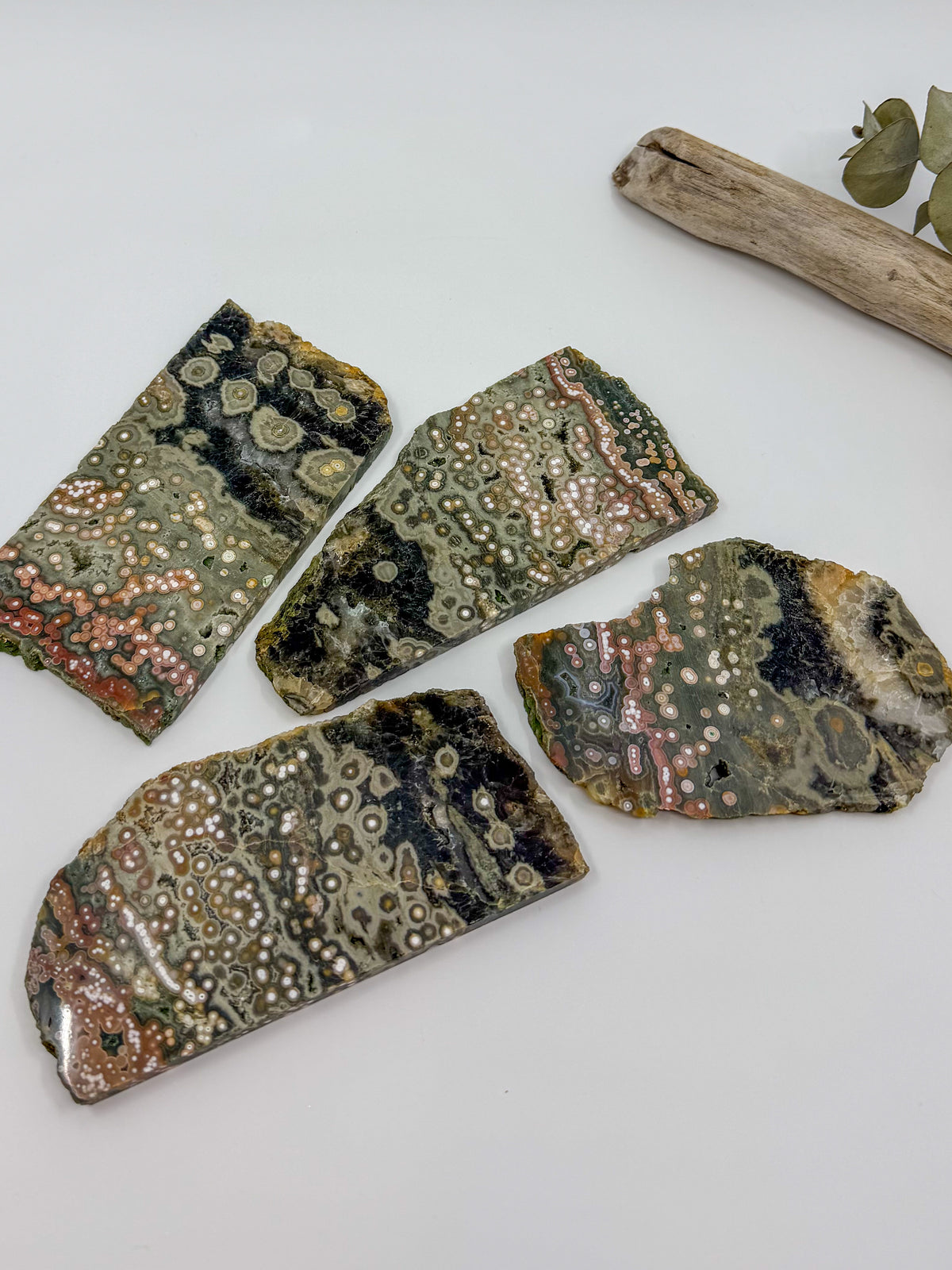 HQ Orbicular Ocean Jasper Slab -CHOOSE YOUR OWN-