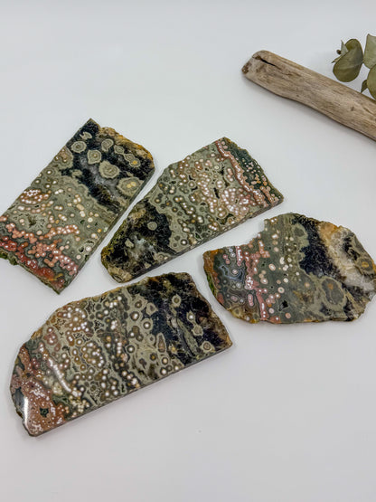 HQ Orbicular Ocean Jasper Slab -CHOOSE YOUR OWN-