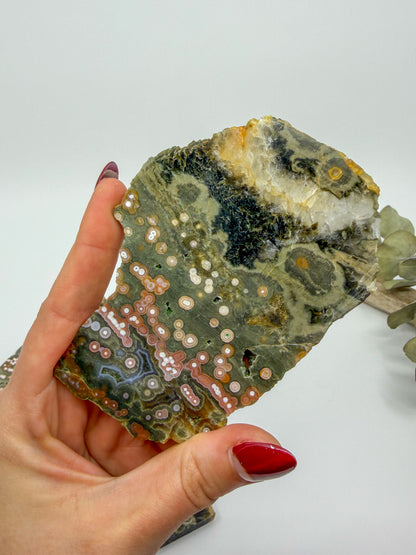 HQ Orbicular Ocean Jasper Slab -CHOOSE YOUR OWN-