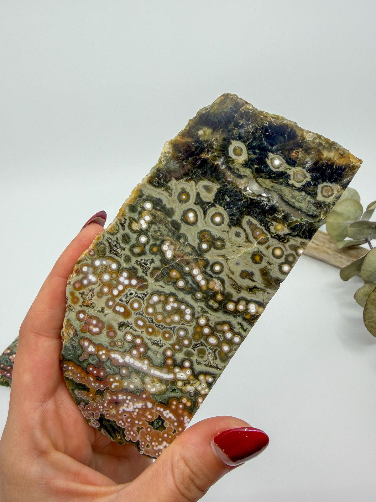 HQ Orbicular Ocean Jasper Slab -CHOOSE YOUR OWN-