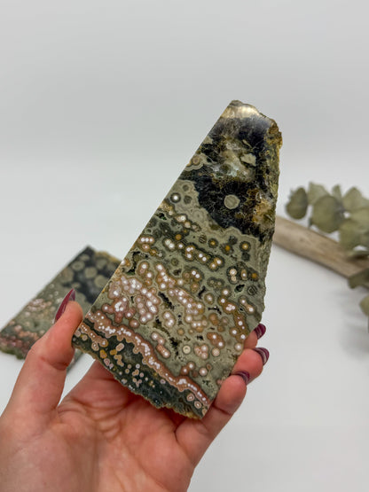 HQ Orbicular Ocean Jasper Slab -CHOOSE YOUR OWN-
