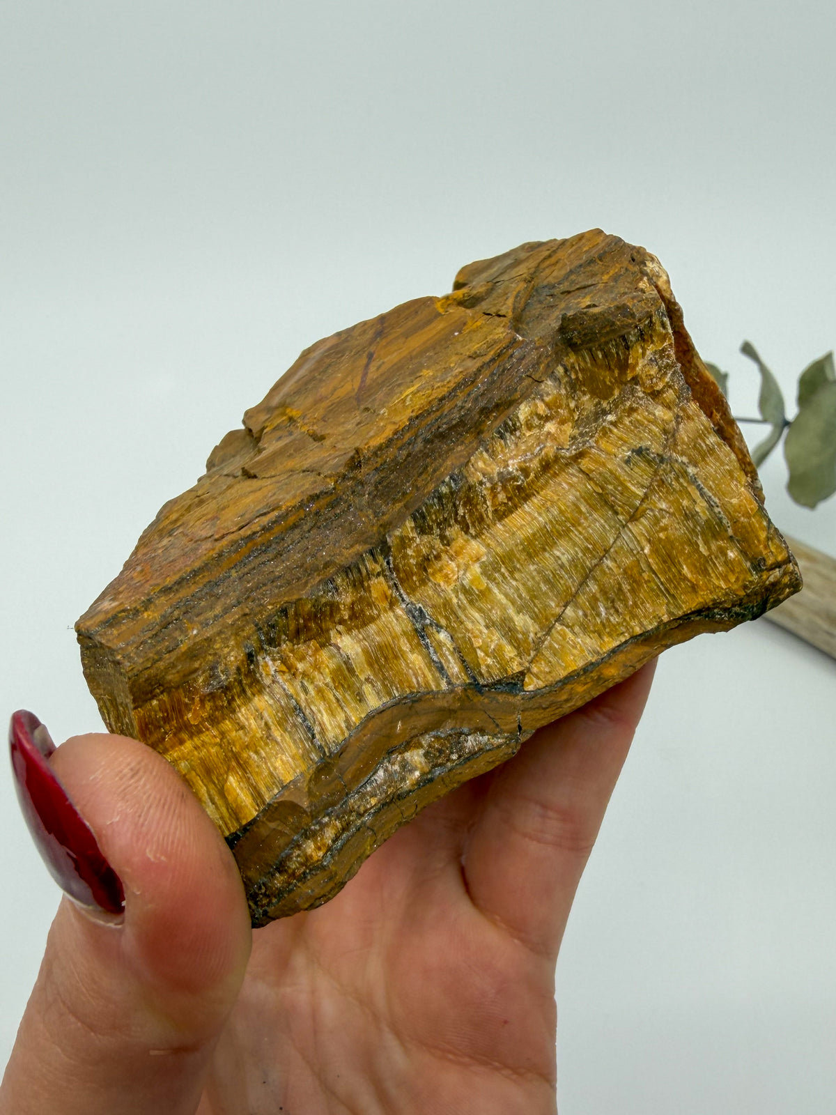 Tiger's Eye Raw