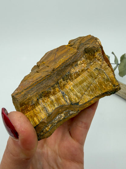 Tiger's Eye Raw