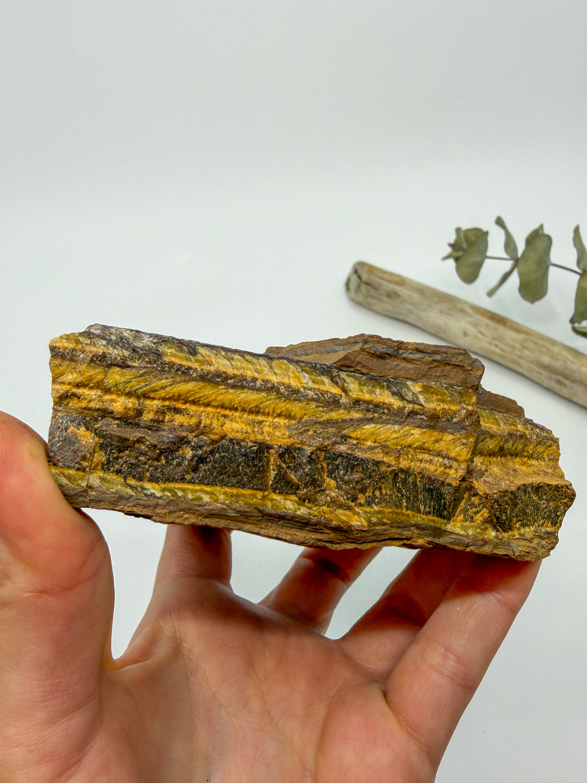 Tiger's Eye Raw