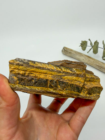 Tiger's Eye Raw