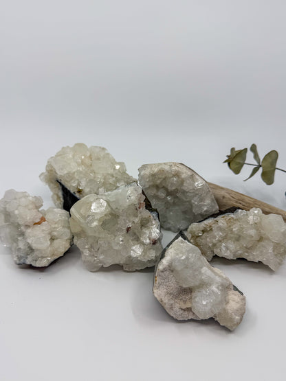 Apophyllite Specimen | Jalgaon, India -CHOOSE YOUR OWN-