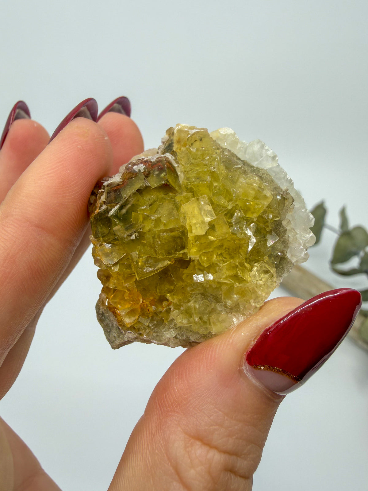 Yellow Fluorite with Dolomite Specimen | Moscona Mine, Asturias Spain -CHOOSE YOUR OWN-