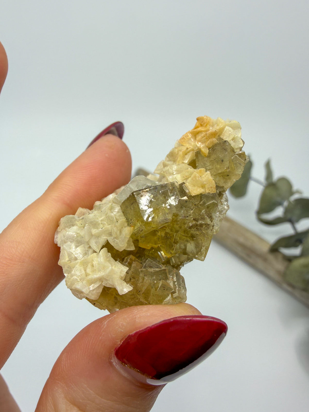 Yellow Fluorite with Dolomite Specimen | Moscona Mine, Asturias Spain -CHOOSE YOUR OWN-