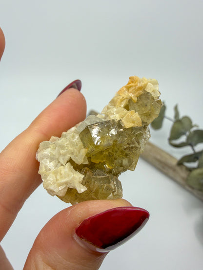 Yellow Fluorite with Dolomite Specimen | Moscona Mine, Asturias Spain -CHOOSE YOUR OWN-
