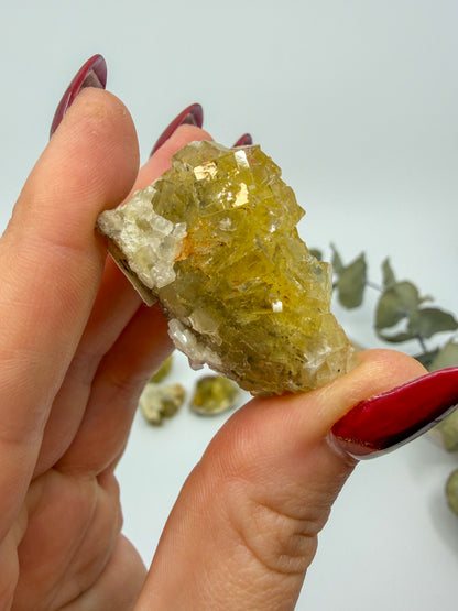 Yellow Fluorite with Dolomite Specimen | Moscona Mine, Asturias Spain -CHOOSE YOUR OWN-