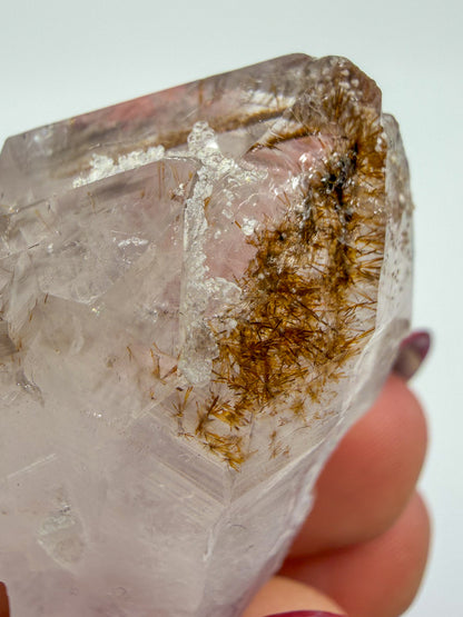 Rutilated Amethyst Symbiosis -CHOOSE YOUR OWN-