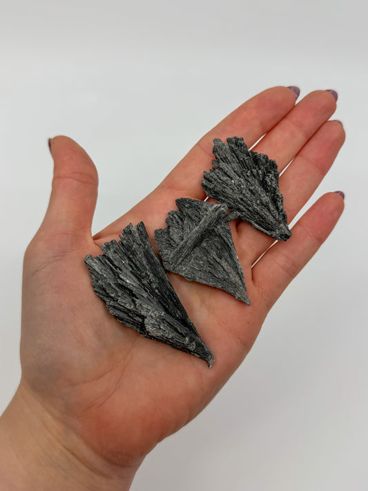 Black Kyanite Specimen
