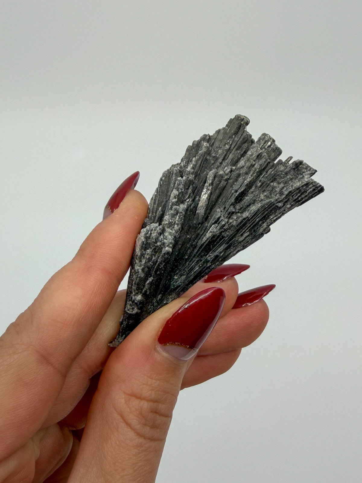 Black Kyanite Specimen