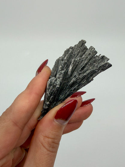 Black Kyanite Specimen
