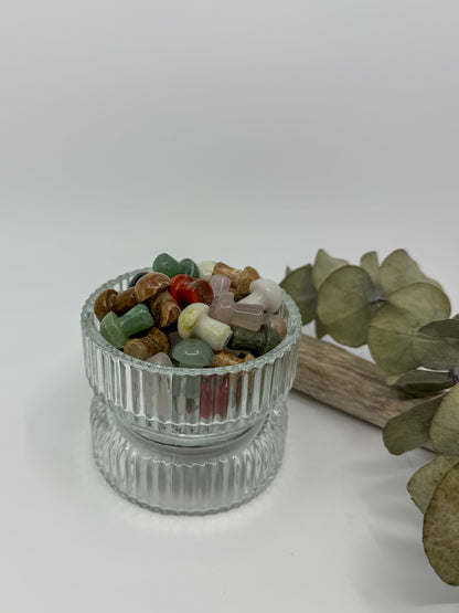 Mixed Mini Mushroom Carving