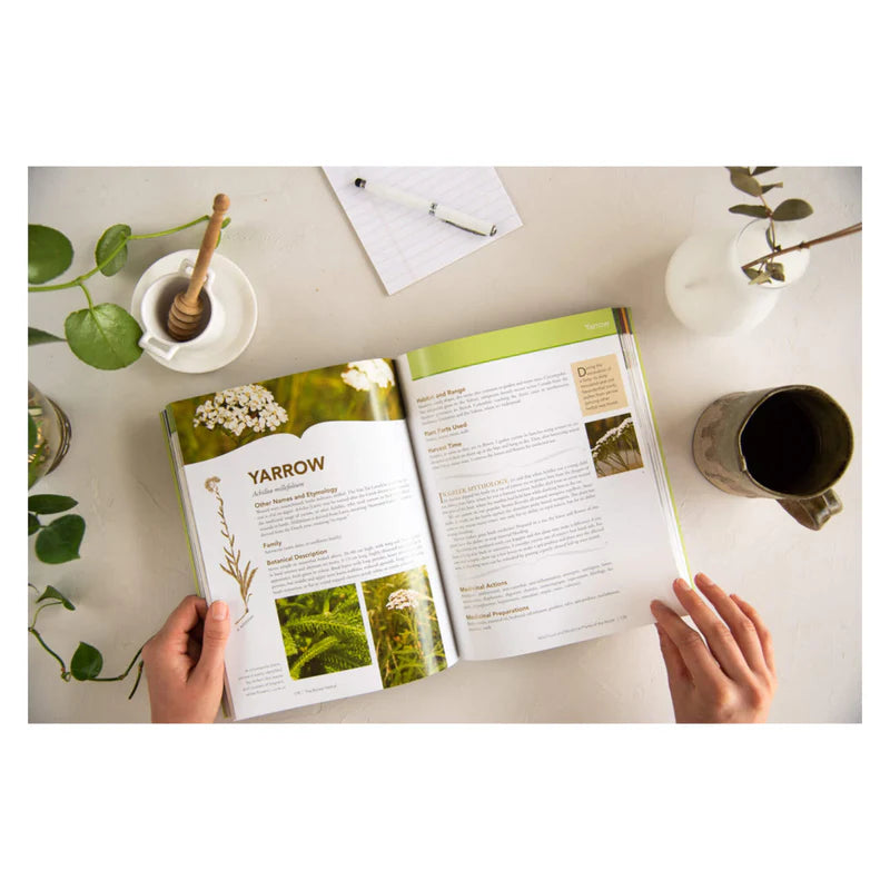 Boreal Herbal: Wild Food and Medicine Plants of the North | Beverly Gray