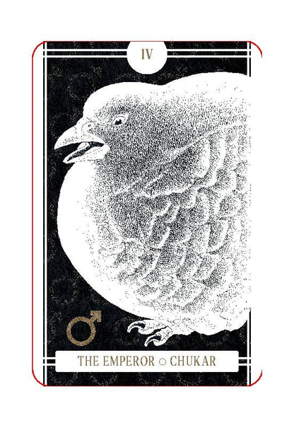 The Avian Tarot