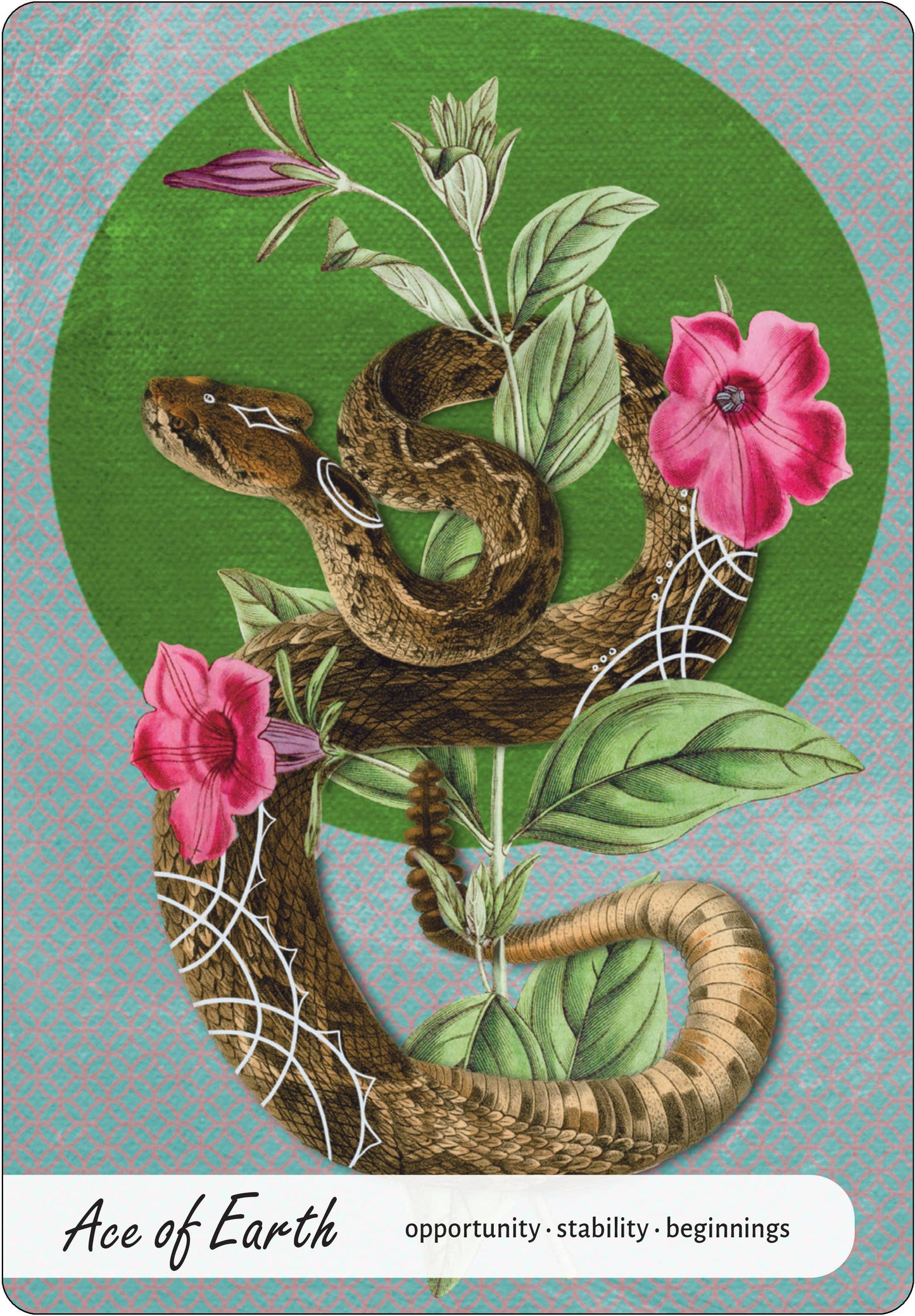 Wise Earth Medicine Tarot