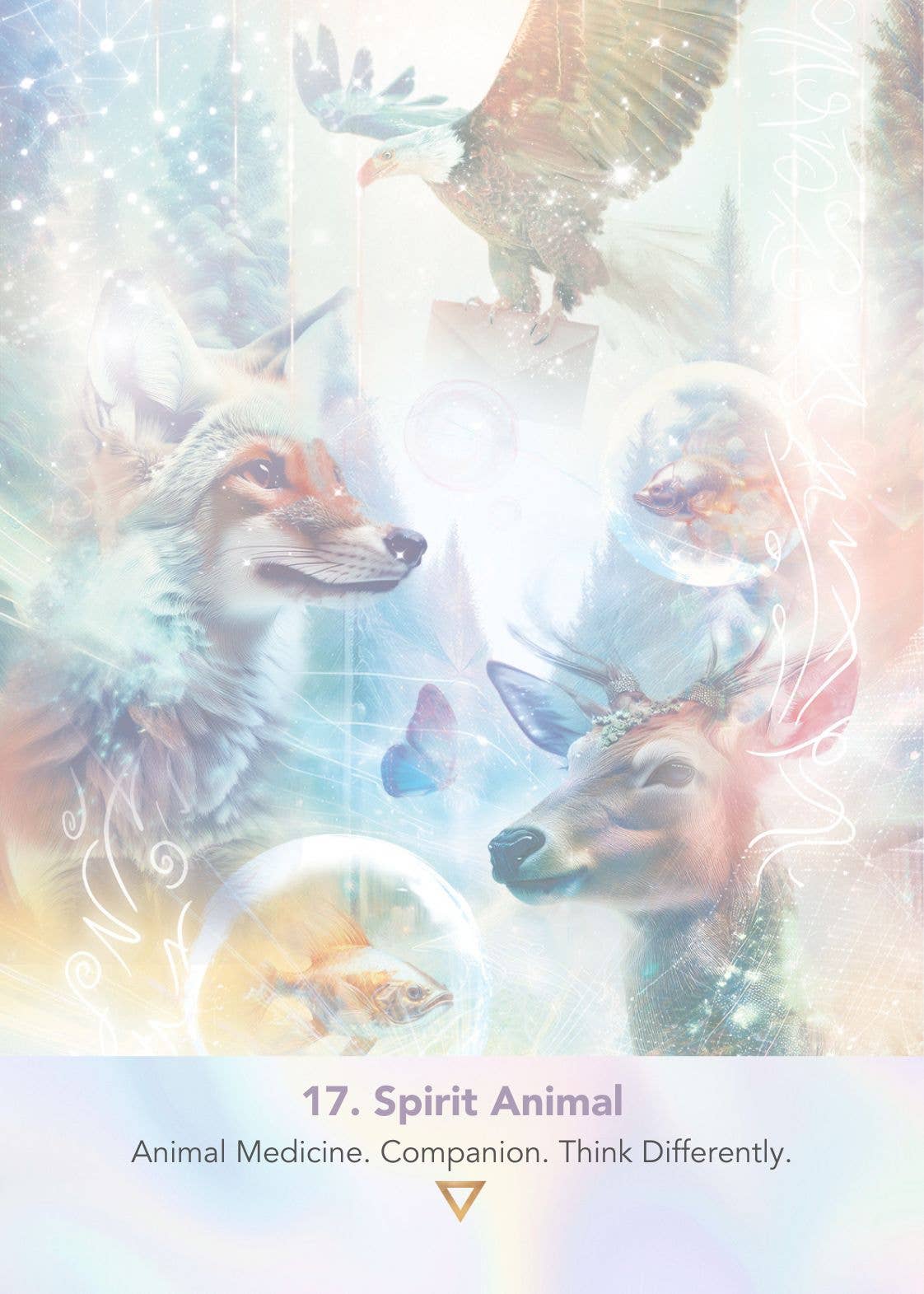 LightWeb Oracle Deck | Joanna Hunter