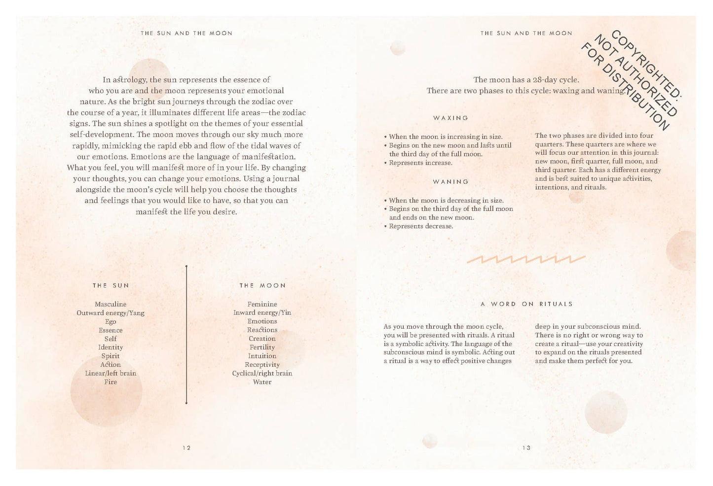 The Moon Journal | Sandy Sitron