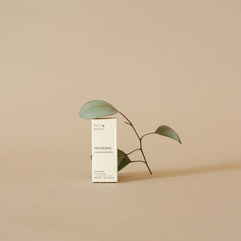 Eucalyptus Essential Oil 10ml | Fern & Petal