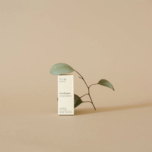 Eucalyptus Essential Oil 10ml | Fern & Petal