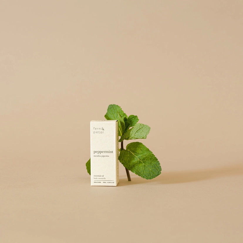Peppermint Essential Oil 10ml | Fern & Petal