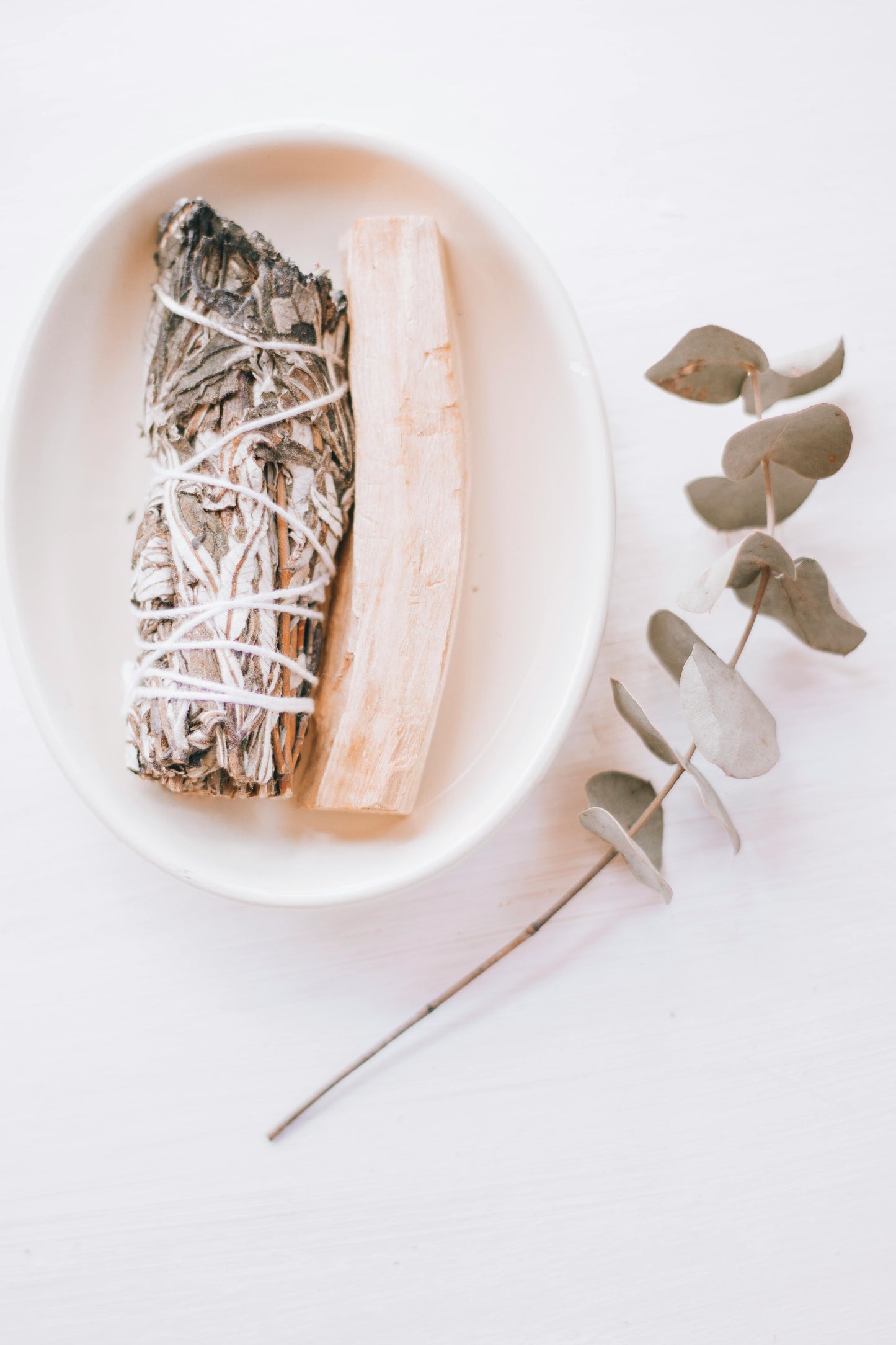 Palo Santo Stick | Peru (Sustainably Harvested)