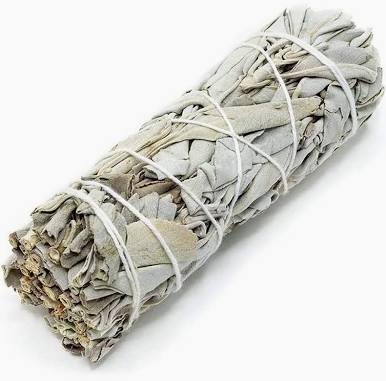 6" White Sage Stick - Mexico