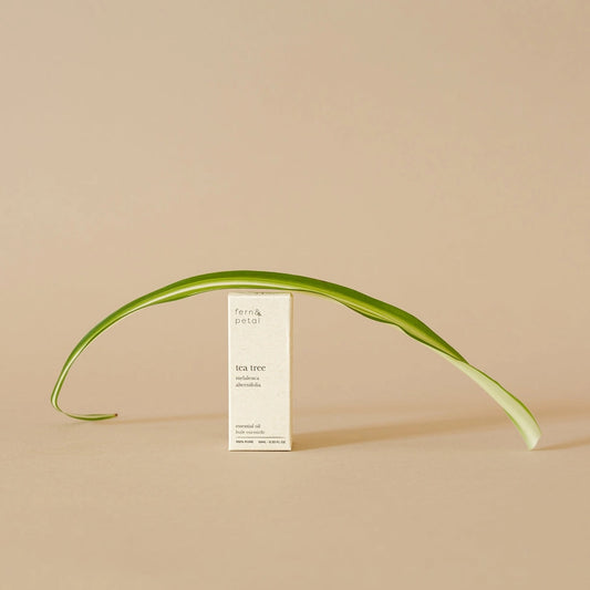 Tea Tree Oil 10ml | Fern & Petal